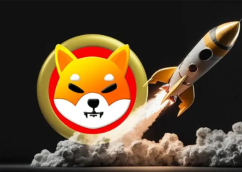 Early Shiba Inu Investors Made Millions with SHIB, This New Crypto Token Is Set For Similar Returns